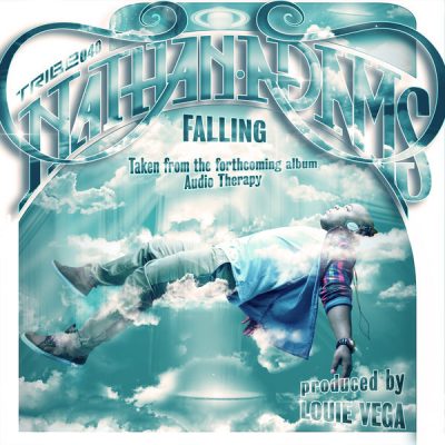 00-Nathan Adams-Falling  TRIBE040-2013--Feelmusic.cc