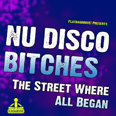 00-Nu Disco Bitches-The Street Where All Began PDG380-2013--Feelmusic.cc
