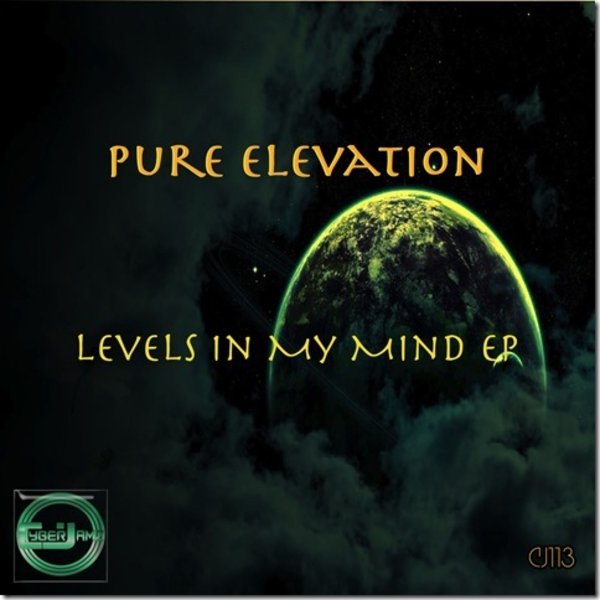 Pure Elevation - Levels In My Mind