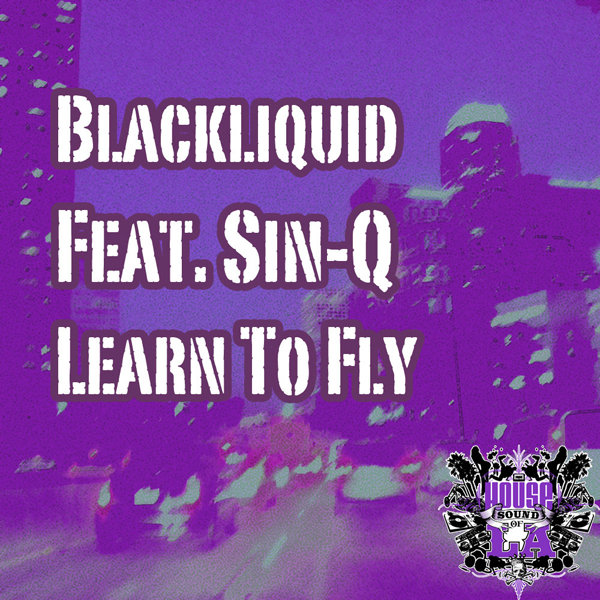Blackliquid feat. Sin-Q - Learn To Fly
