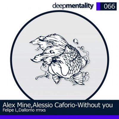 00-Cassimm-Without You DMR066-2013--Feelmusic.cc