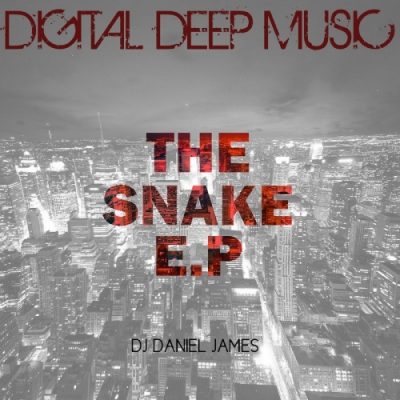00-DJ Daniel James-The Snake EP Part 1 DDM007-2013--Feelmusic.cc