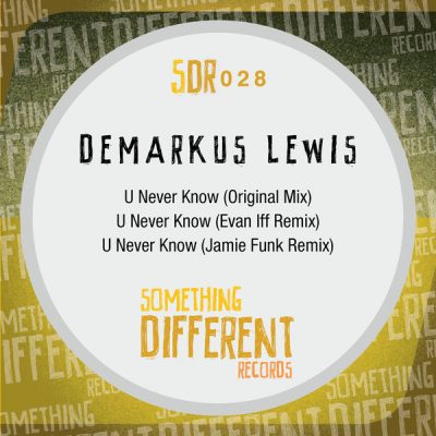 00-Demarkus Lewis-U Never Know SDR028-2013--Feelmusic.cc