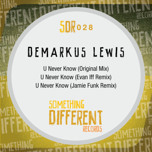 Demarkus Lewis - U Never Know