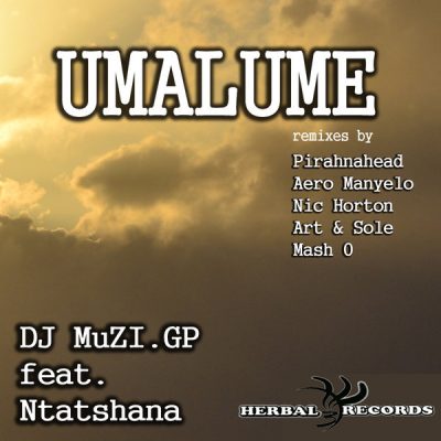 00-Dj Muzi.gp feat. Mr Ntatshana-Umalume Remixes H3R013 -2013--Feelmusic.cc
