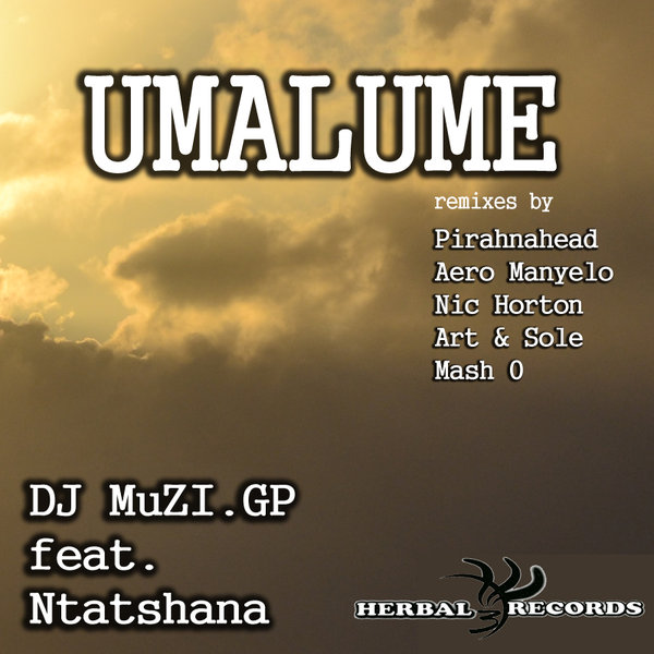 Dj Muzi.gp feat. Mr Ntatshana - Umalume Remixes
