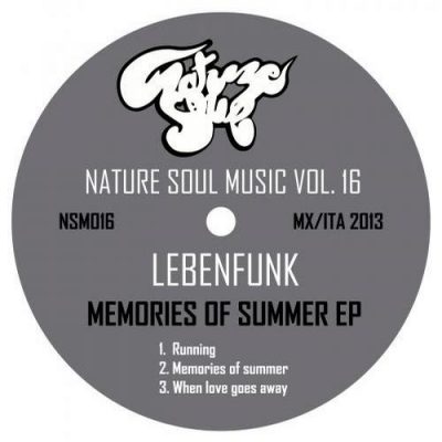 00-Lebenfunk-Memories Of Summer NSM016-2013--Feelmusic.cc