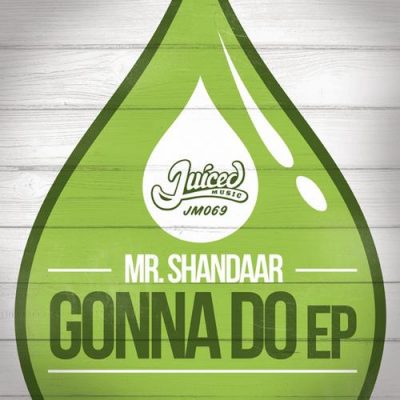 00-Mr Shandaar-Gonna Do EP JM069-2013--Feelmusic.cc