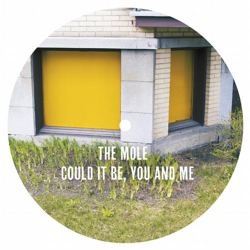 The Mole - Could It Be You and Me