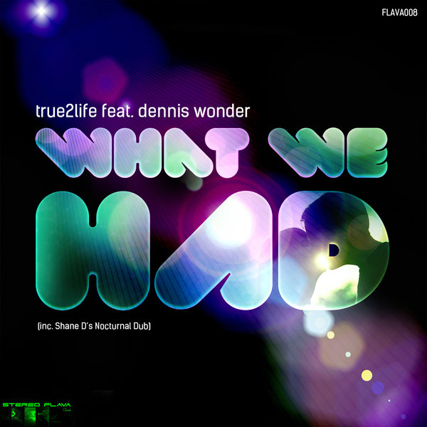 True2life feat. Dennis Wonder - What We Had