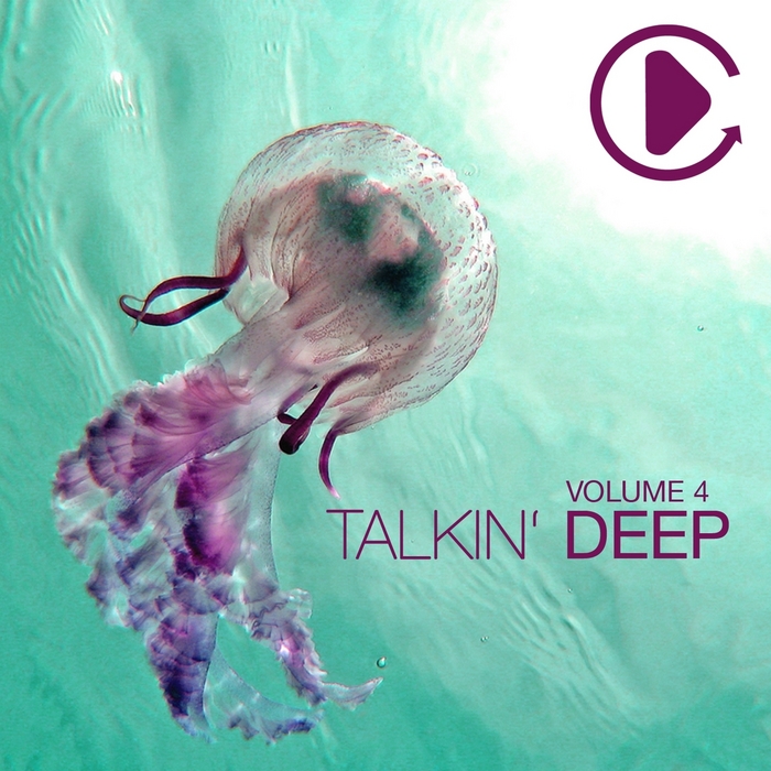 VA - Talkin' Deep Vol 4
