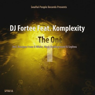 00-DJ Fortee feat. Komplexity-The One SPR018-2013--Feelmusic.cc