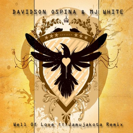 Davidson Ospina & Mj White - Well Of Love (Jamujakota Remix)