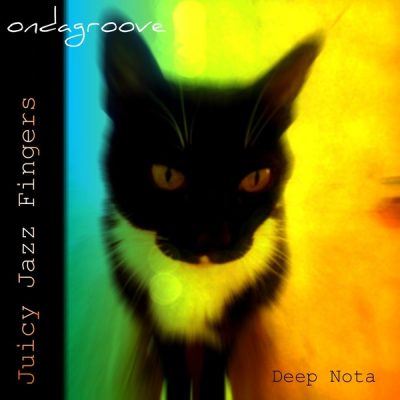 00-Ondagroove-Juicy Jazz Fingers DN069-2013--Feelmusic.cc