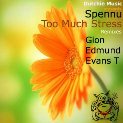 00-Spennu-Too Much Stress DUTCHIE195-2013--Feelmusic.cc