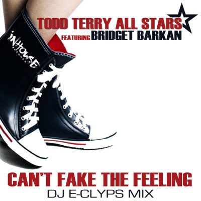 00-Todd Terry All Stars feat. Bridget Barkan-Can't Fake The Feeling INHR332 -2013--Feelmusic.cc