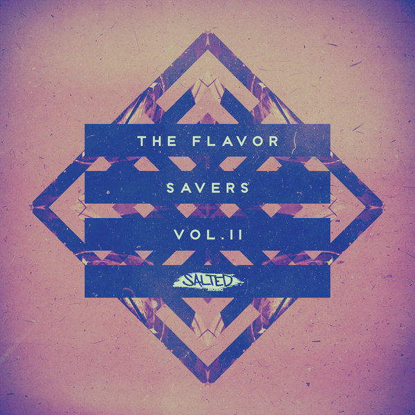 VA - The Flavor Saver Vol 11