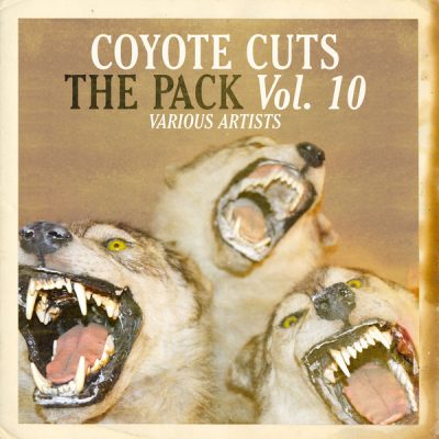 00-VA-The Pack Vol. 10 CCD100-2013--Feelmusic.cc