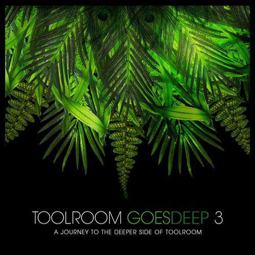 VA - Toolroom Goes Deep 3