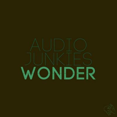 00-Audio Junkies-Wonder RTCH007-2013--Feelmusic.cc