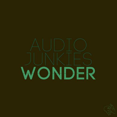 Audio Junkies - Wonder