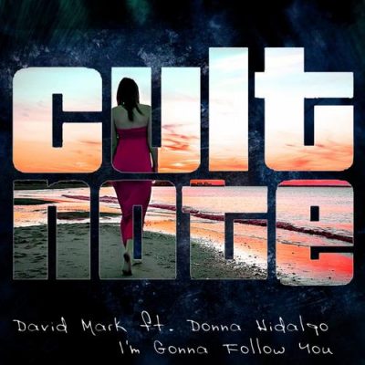00-David Mark-I'm Gonna Follow You 3610152843171-2013--Feelmusic.cc