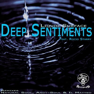00-Deep Sentiments Ft Rocio Starry-Liquid Surface E.P SDIR043-2013--Feelmusic.cc