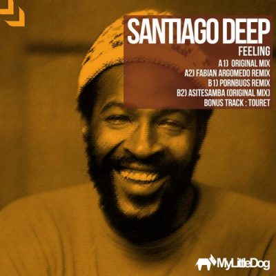 00-Santiago Deep-Feeling MLD031-2013--Feelmusic.cc