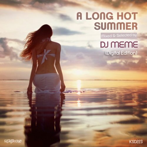 VA - A Long Hot Summer. Mixed By DJ Meme