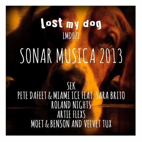 VA - Lost My Dog Sonar Musica 2013