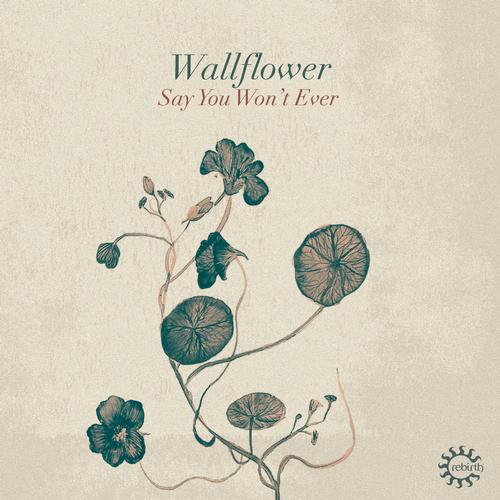 Wallflower - Say You Won't Ever