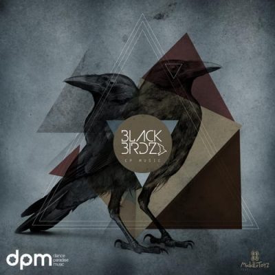 00-Blackbirdz-You Don't Love Me DPM001-2013--Feelmusic.cc