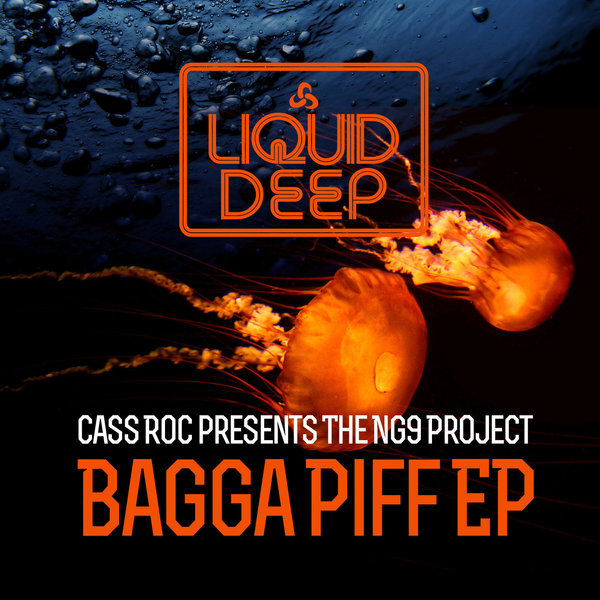 Cass Roc Present The NG9 Project - Bagga Piff EP
