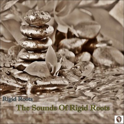 00-Rigid Roots-The Sounds Of Rigid Roots T.AM 028-2013--Feelmusic.cc
