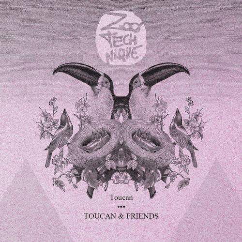 Toucan - Toucan & Friends
