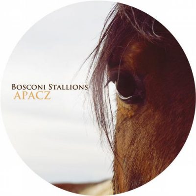 00-VA-Bosconi Stallions - Apacz BOSCO022-2013--Feelmusic.cc