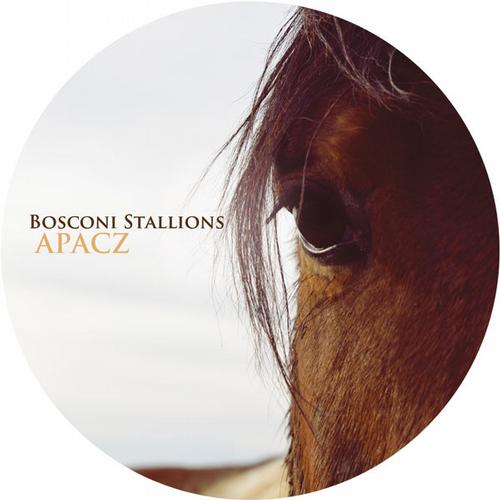 VA - Bosconi Stallions - Apacz