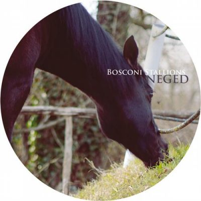 00-VA-Bosconi Stallions - Neged BOSCO023-2013--Feelmusic.cc