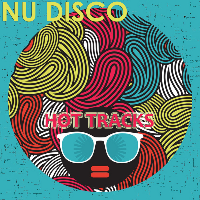 VA - Nu Disco Hot Tracks 2013 - Selected By Paolo Madzone Zampetti