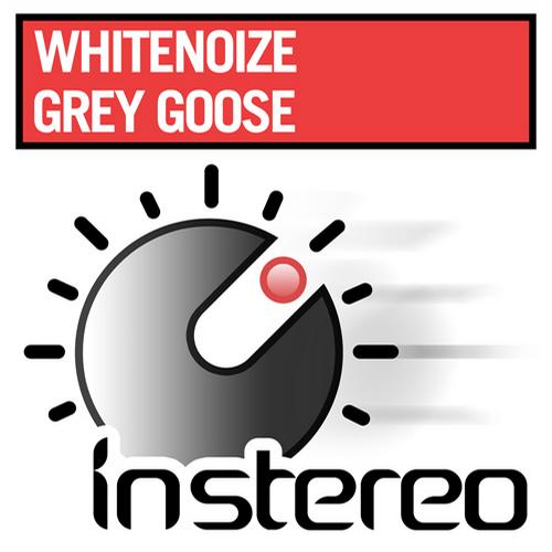 Whitenoize - Grey Goose