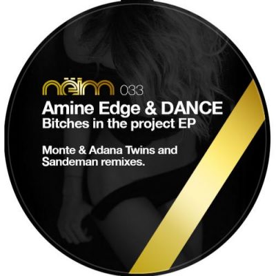 00-Amine Edge & DANCE-Bitches In The Project EP NEIM033-2013--Feelmusic.cc