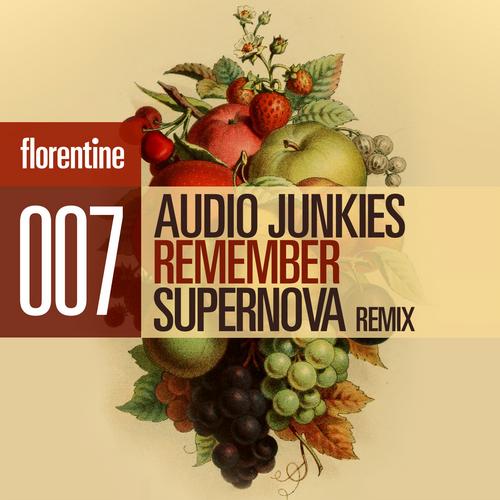 Audio Junkies - Remember