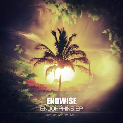 00-Endwise-Endorphins EP DBR02-2013--Feelmusic.cc