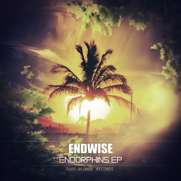 Endwise - Endorphins EP