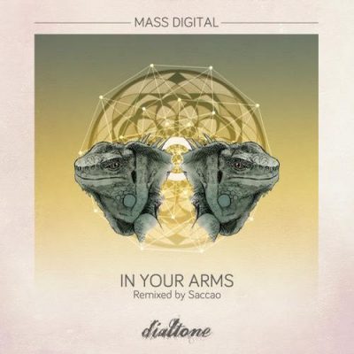 00-Mass Digital-In Your Arms DT082-2013--Feelmusic.cc