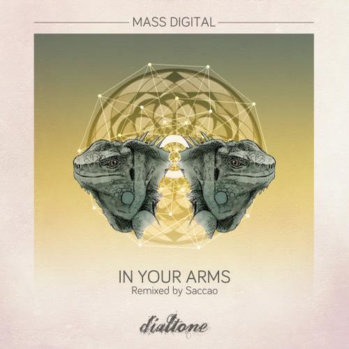 Mass Digital - In Your Arms