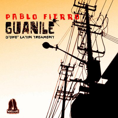 00-Pablo Fierro-Guanile (D'oke Latin Treament) VIAL-023-2013--Feelmusic.cc