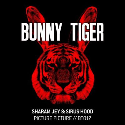 00-Sharam Jey & Sirus Hood-Picture Picture BT017-2013--Feelmusic.cc