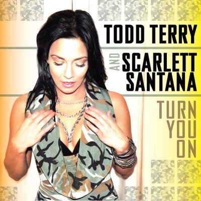 00-Todd Terry & Scarlett Santana-Turn You On INHR356 -2013--Feelmusic.cc