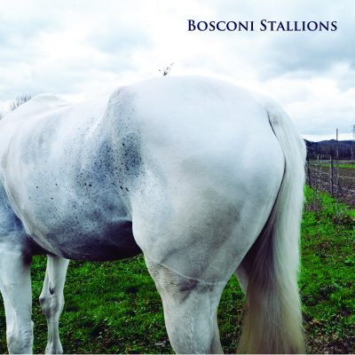 00-VA-Bosconi Stallions Compilation Celebrating 5 Years Of Bosconi Records BOSCOBOX001-2013--Feelmusic.cc